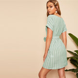 V Striped Belted Dress