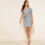 V Striped Belted Dress